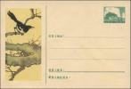 普9型天安门图美术邮资封（4-1956 喜鹊）
