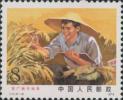 T17 在广阔天地里